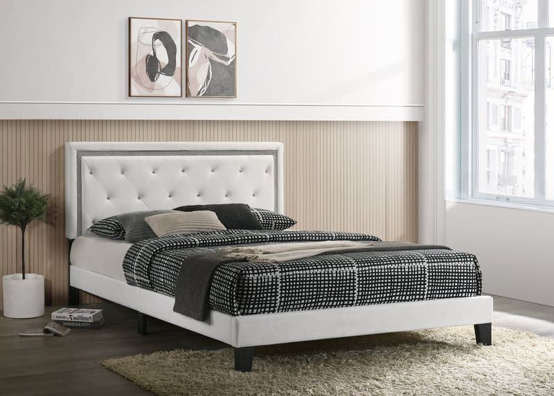 White PU Platform - Queen, King